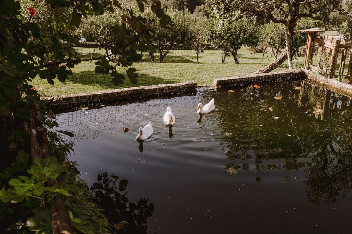Pazo De Bendoiro Otel Dış mekan fotoğraf