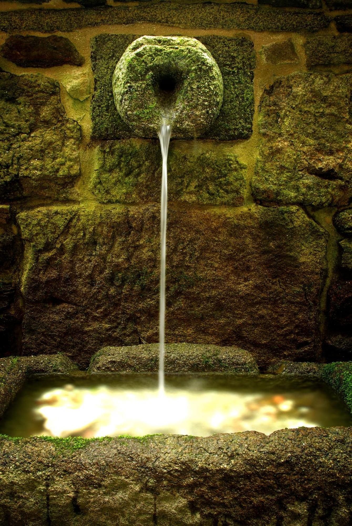 Pazo De Bendoiro Otel Dış mekan fotoğraf